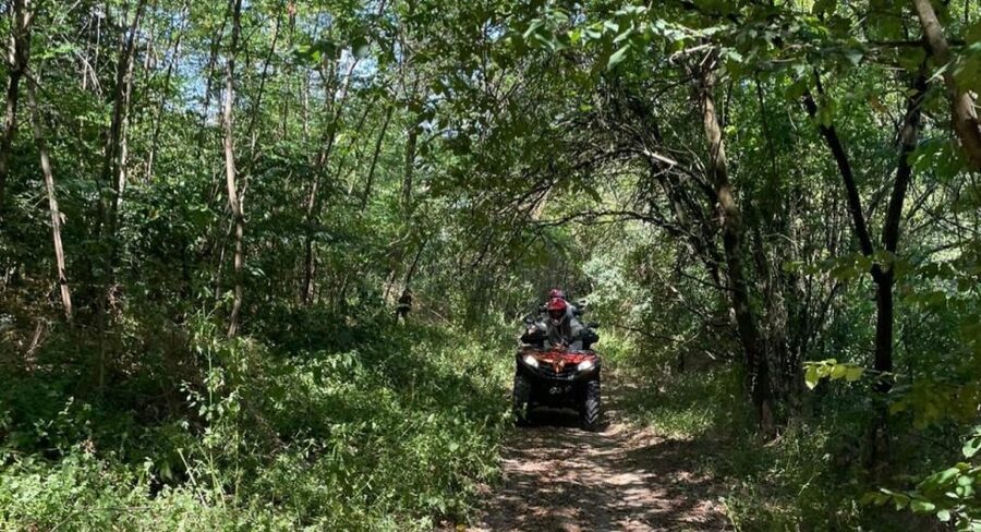 From Bucharest: Forest and Hills ATV Quad Bike Tour - Booking details worth checking
