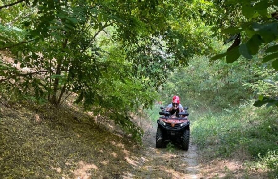 From Bucharest: Forest and Hills ATV Quad Bike Tour - Forest tracks, hills, fields, and river country