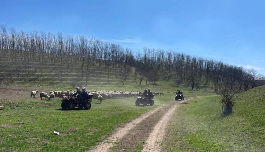 From Bucharest: Forest and Hills ATV Quad Bike Tour - Is $141 a fair price?