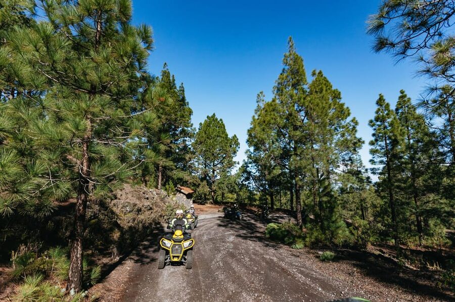 From Costa Adeje: Mount Teide Forest Off-Road Quad Bike Tour - Who should book this quad tour?