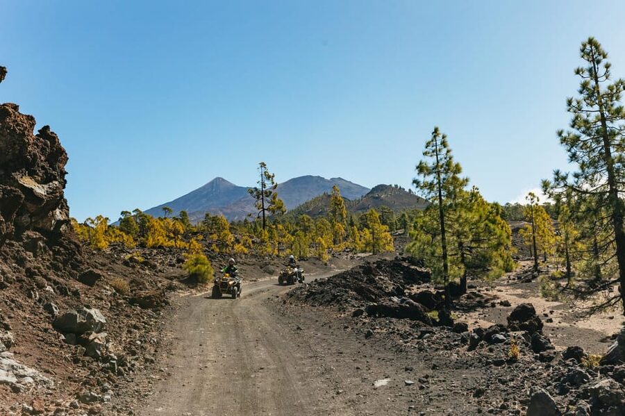 From Costa Adeje: Mount Teide Forest Off-Road Quad Bike Tour - Leaving South Tenerife for the high pine forest