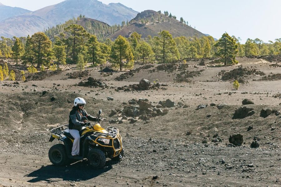 From Costa Adeje: Mount Teide Forest Off-Road Quad Bike Tour - Three hours among pines, lava, and mountain views
