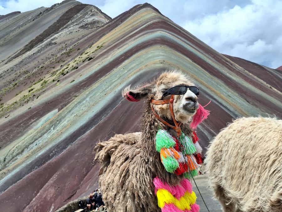 From cusco: Rainbow Mountain ATV Tour with meals - One hour at the mountain of colors