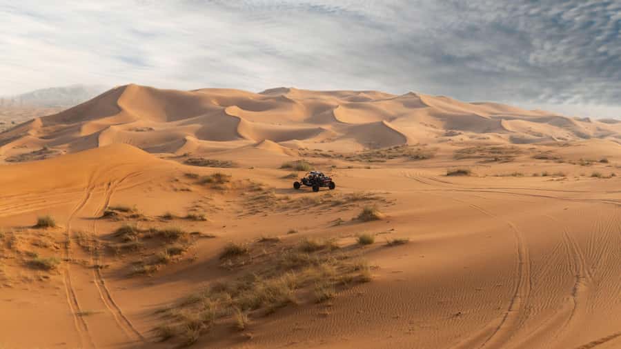 From Dubai: Zerzura Dune Buggy Experience & Fossil Discovery - Key points before you book