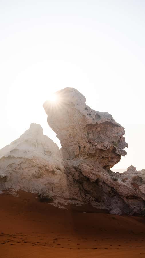 From Dubai: Zerzura Dune Buggy Experience & Fossil Discovery - A short camel ride to slow the pace