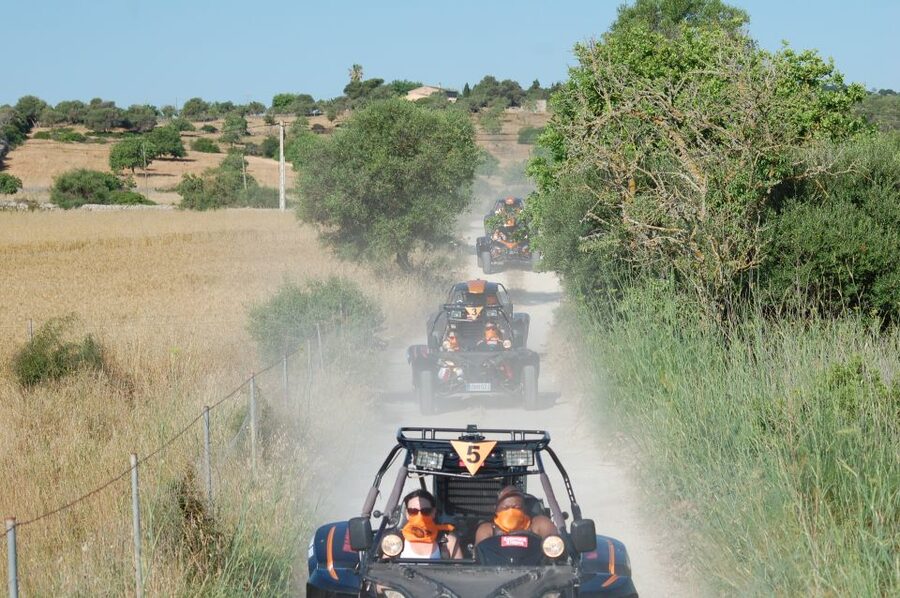 From East Mallorca: Guided Beach and Mountain Buggy Tour - What the three-hour route is really like