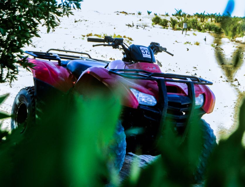 From El Gouna: Dry Canyon Quad Bike Morning Tour - The Bedouin camp and its promised welcome