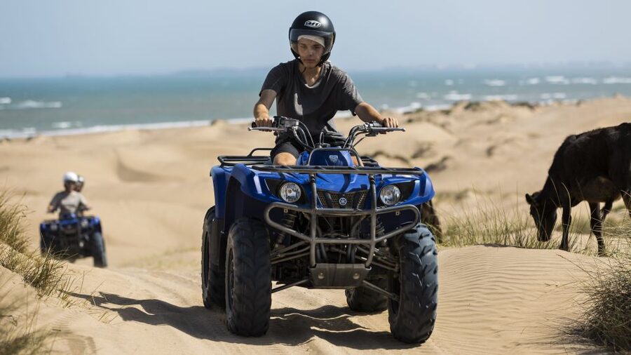 From Essaouira: 3-Hour Quad Biking Tour - Who Will Enjoy This Ride Most