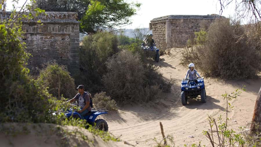 From Essaouira: 3-Hour Quad Biking Tour - Following Tracks Through Eucalyptus and Mimosa