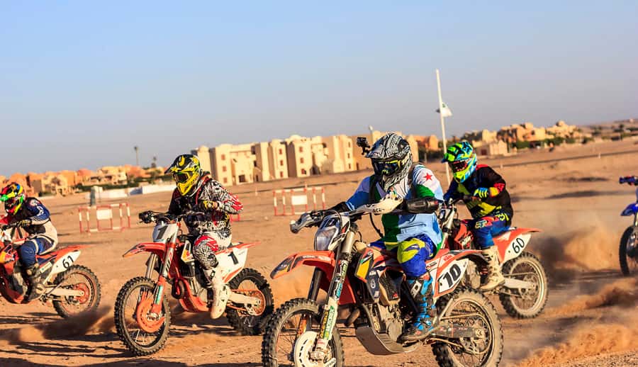 From Hurghada: El Gouna Quad and MX Bike Safari Tour - Should you book the El Gouna Quad and MX Bike Safari?