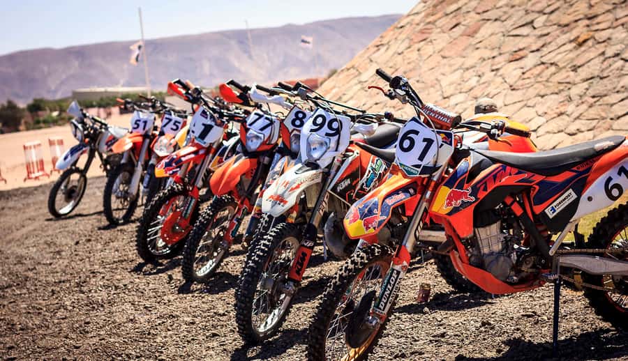 From Hurghada: El Gouna Quad and MX Bike Safari Tour - Who should book this desert ride?