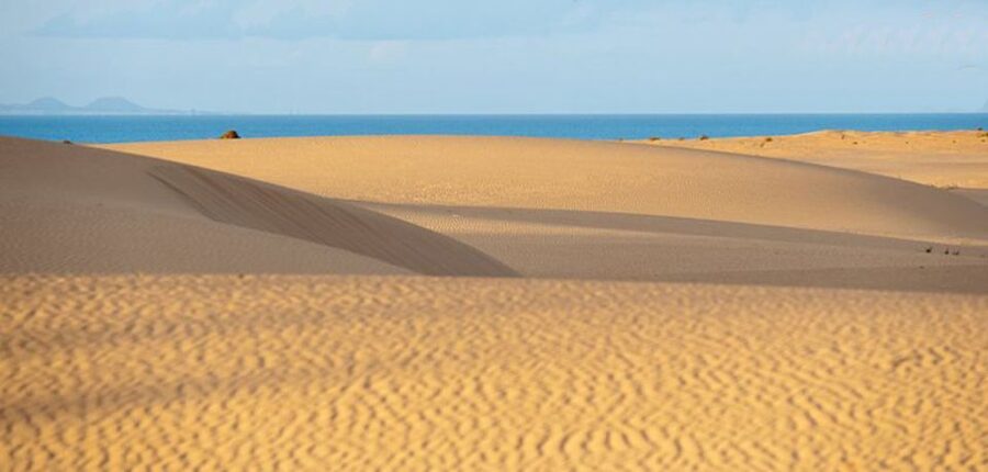 From Lanzarote: Corralejo Buggy Safari - Tamaragua and the road into Villaverde