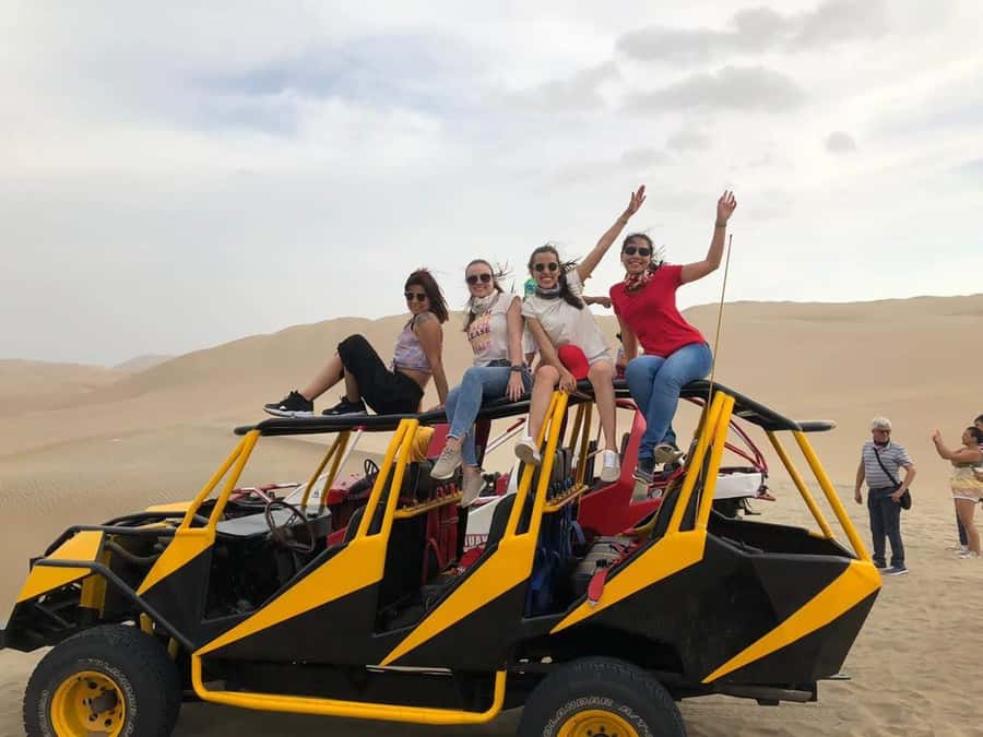 From Lima: Ballestas Islands, Huacachina with buggy Economic - Riding the dunes around Huacachina
