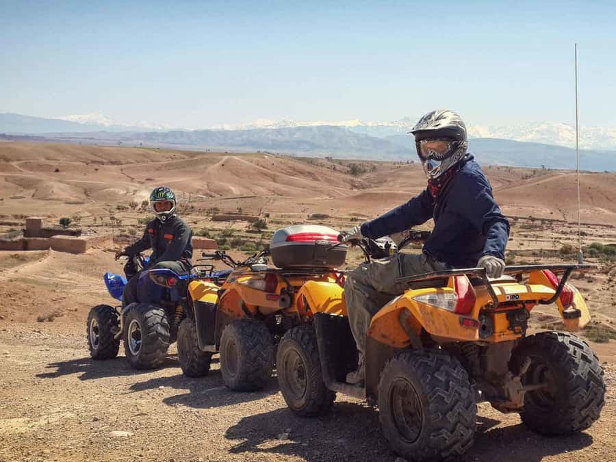 From Marrakech: Adventure Quad Ride in La Palmeraie - Taking tea in the countryside