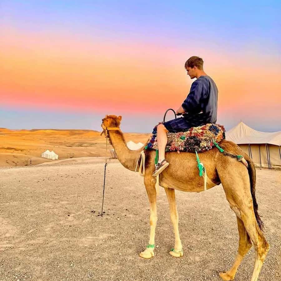 From Marrakech: Agafay Desert Dinner with Quad & Camel Ride - What this Agafay evening is really like
