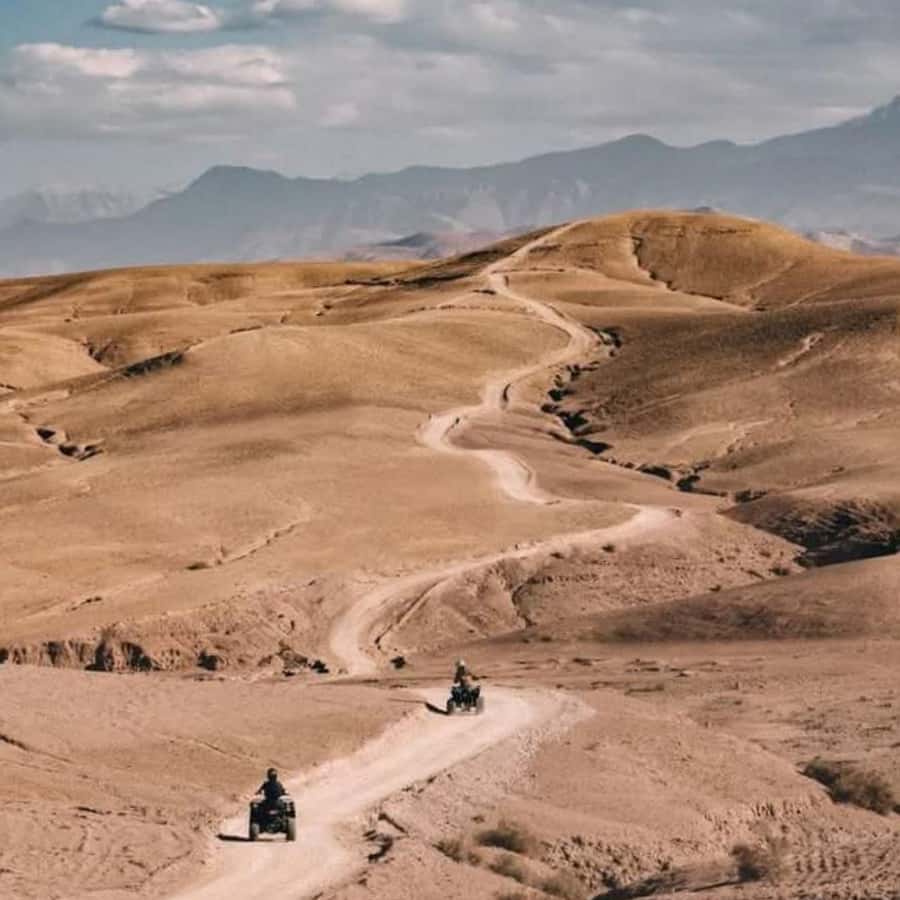 From Marrakech: Agafay Desert Dinner with Quad & Camel Ride - Dinner under the stars