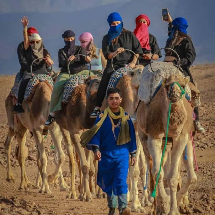 From Marrakech: Agafay Desert Dinner with Quad & Camel Ride - The guides make the difference