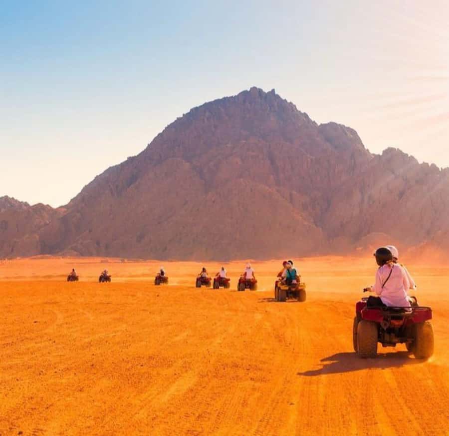 From Marrakech: Agafay Desert Quad Biking with Dinner & Show - Should you book this Agafay Desert tour?