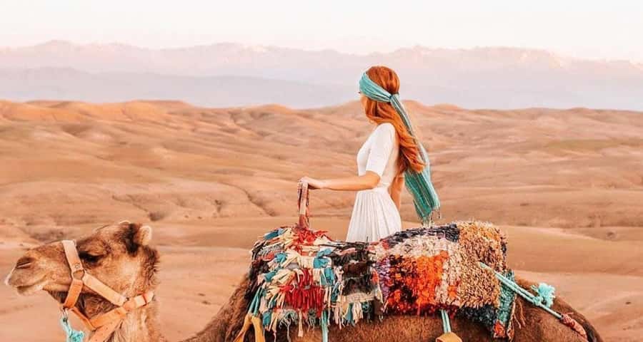 From Marrakech: Camel, Quad Bike Tour, Sunset, Dinner & Show - The argan oil cooperative stop