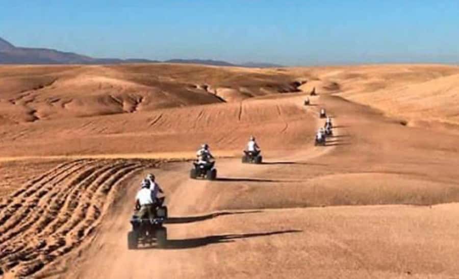 From Marrakech: Camel, Quad Bike Tour, Sunset, Dinner & Show - Dinner under Berber tents