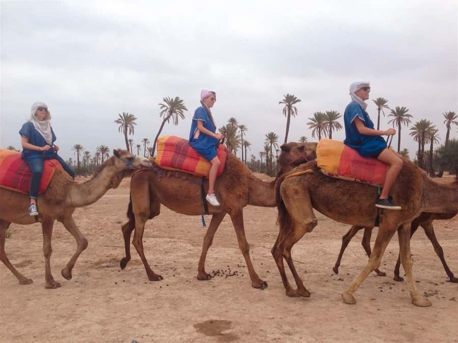 From Marrakech: Camel Ride, Quad Bike & Spa Full-Day Trip - Hotel pickup and the short ride to the Palmeraie