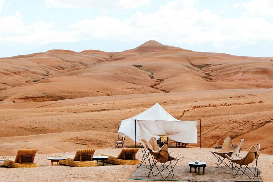 From Marrakech: Dinner show in Agafay Desert & Sunset Quad - Key points to know before you book