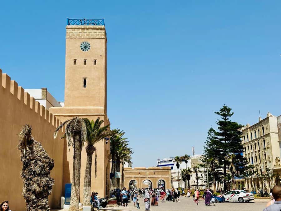 From Marrakech: Essaouira day Trip with camel, horse & quad - Key points at a glance