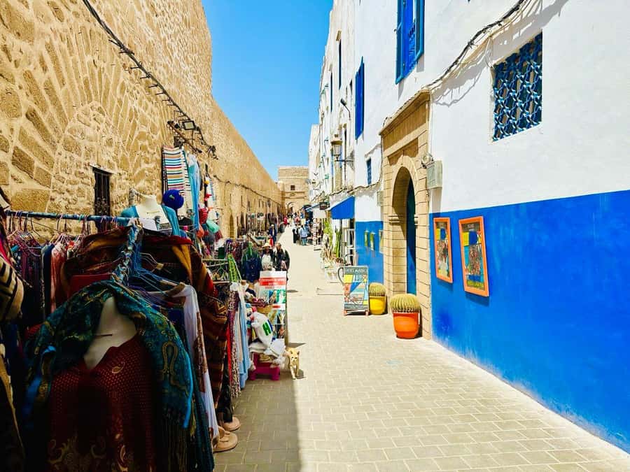 From Marrakech: Essaouira day Trip with camel, horse & quad - Seeing how argan oil is made