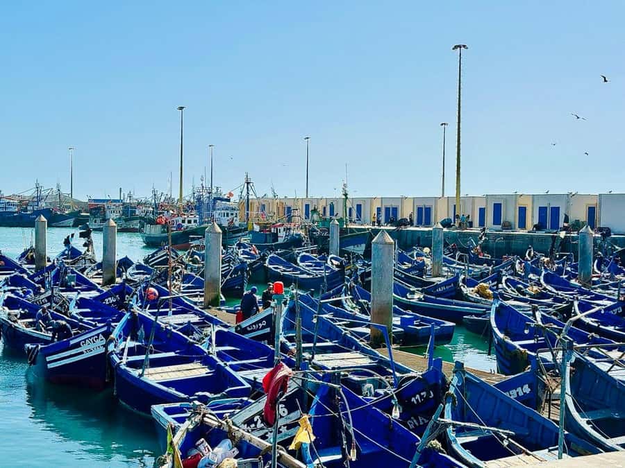 From Marrakech: Essaouira day Trip with camel, horse & quad - The road from Marrakech and the two café breaks