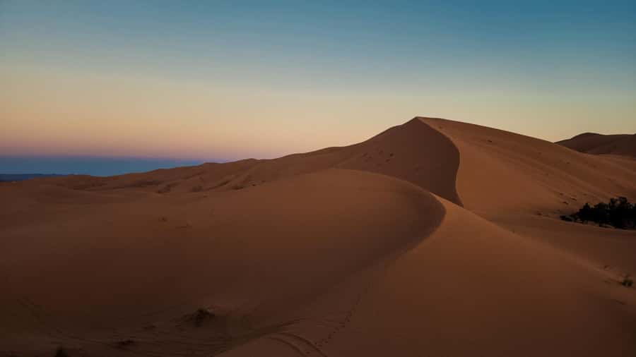 From Marrakech: Merzouga 4 Day Luxury Tour w/ Optional Quad - Who should book this desert tour?