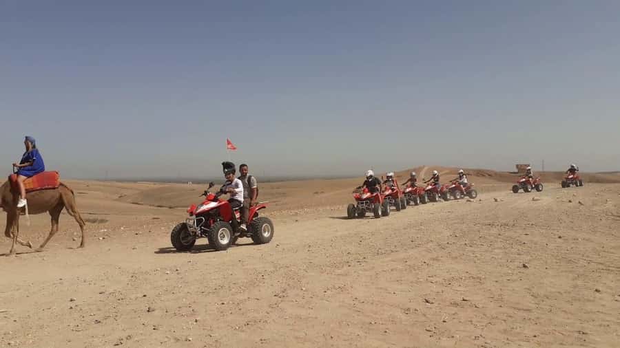 From Marrakesh: Agafay Desert Quad Biking, Camels & Dinner - The camel ride slows everything down