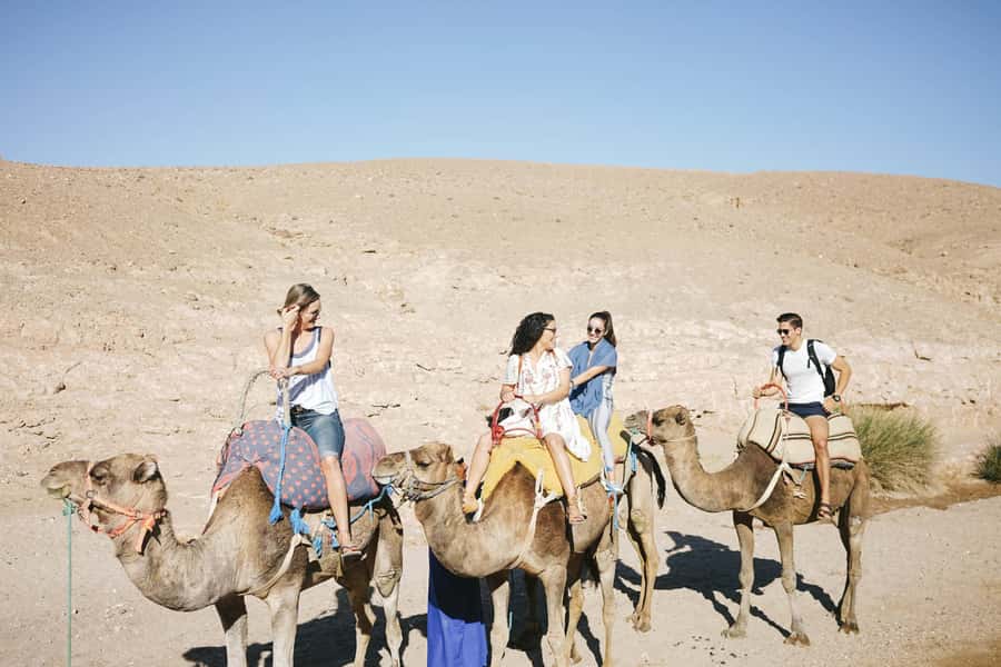 From Marrakesh: Agafay Desert Quad Biking, Camels & Dinner - Berber dinner with bread, tea, and entertainment
