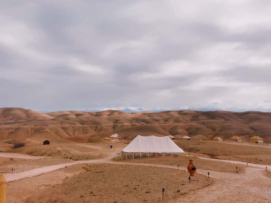 From Marrakesh: Agafay Desert Quad Biking, Camels & Dinner - Who will enjoy this outing most
