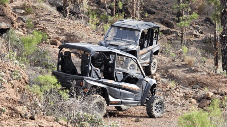 From Maspalomas: Volcanic Landscapes 4-Seater Buggy Tour - Key points to know before you book