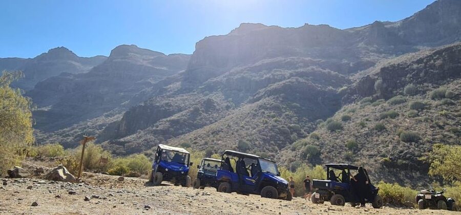 From Maspalomas: Volcanic Landscapes 4-Seater Buggy Tour - How much value do you get for $177?