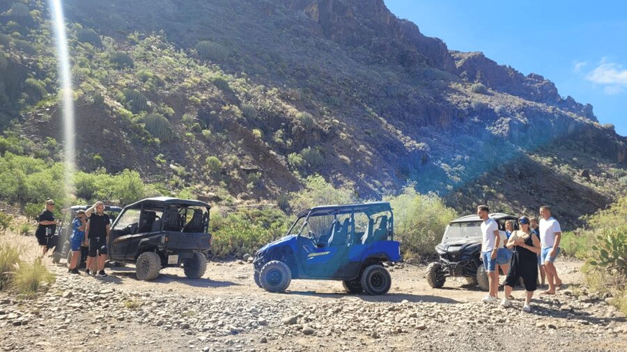 From Maspalomas: Volcanic Landscapes 4-Seater Buggy Tour - Should you book it?