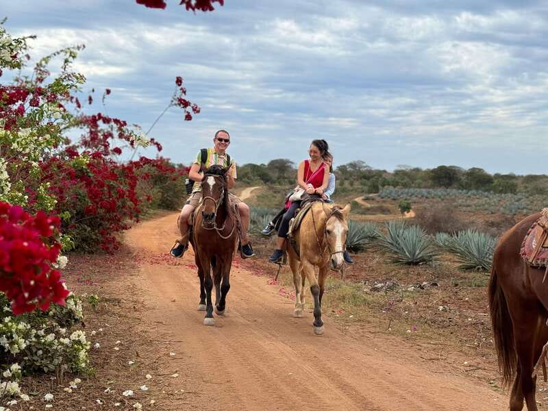 From Mazatlan: ATV & Horse Back riding with Tequila Tasting - From Mazatlan hotels to a countryside ranch