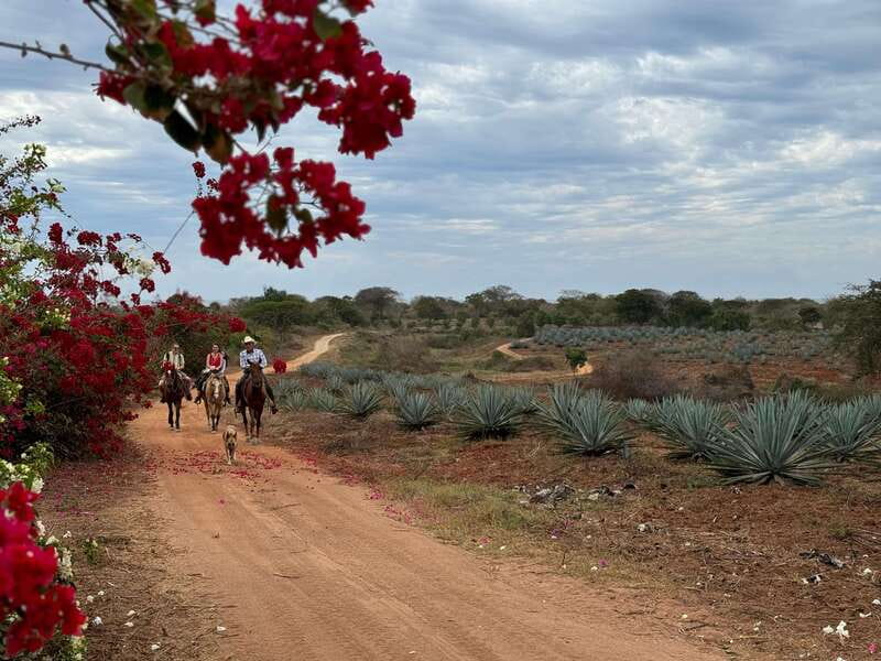 From Mazatlan: ATV & Horse Back riding with Tequila Tasting - What the $210 price buys you