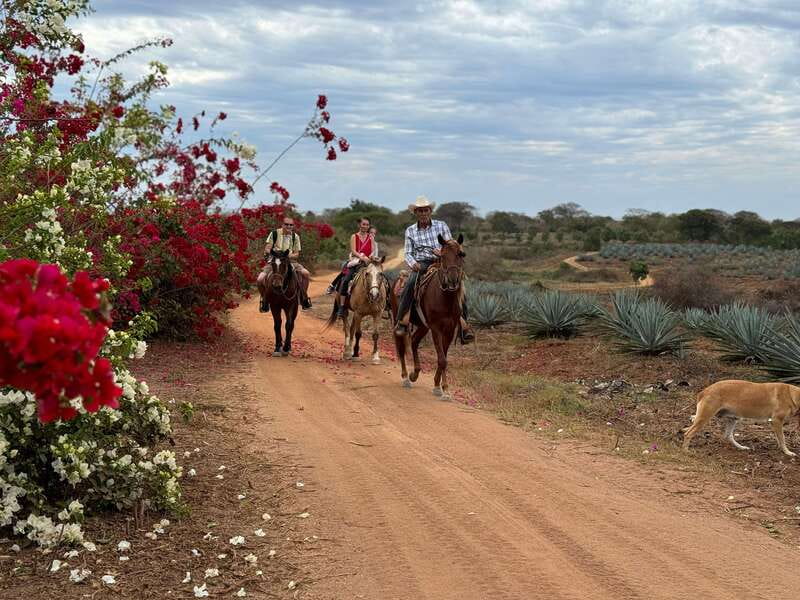 From Mazatlan: ATV & Horse Back riding with Tequila Tasting - Should you book this Mazatlan ATV tour?