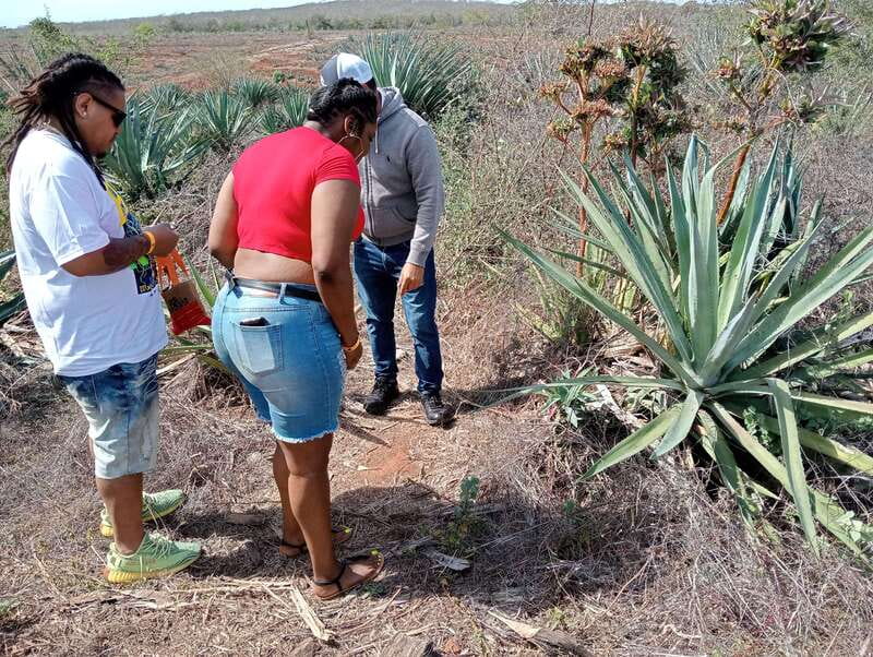 From Mazatlan: ATV & Horse Back riding with Tequila Tasting - FAQ