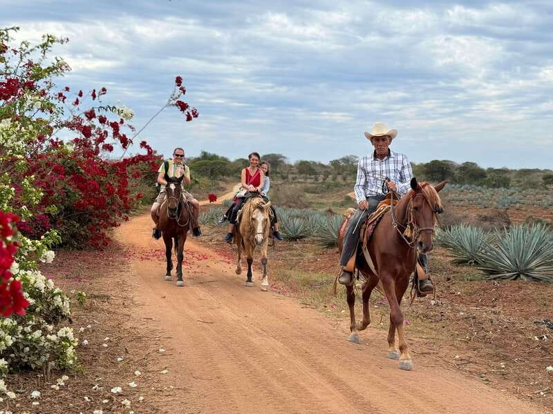 From Mazatlan: ATV & Horse Back riding with Tequila Tasting - Horseback riding through beach and jungle terrain