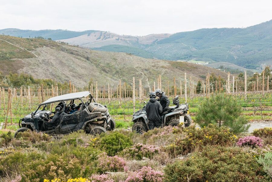 From Porto: Off-Road Buggy Adventure - Castro Mozinho and Portugal’s older past