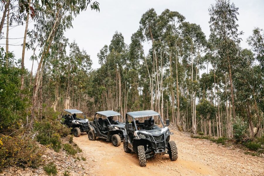 From Porto: Off-Road Buggy Adventure - Changing drivers and sharing the buggy