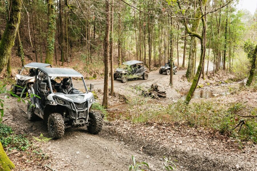From Porto: Off-Road Buggy Adventure - Is $200 good value?