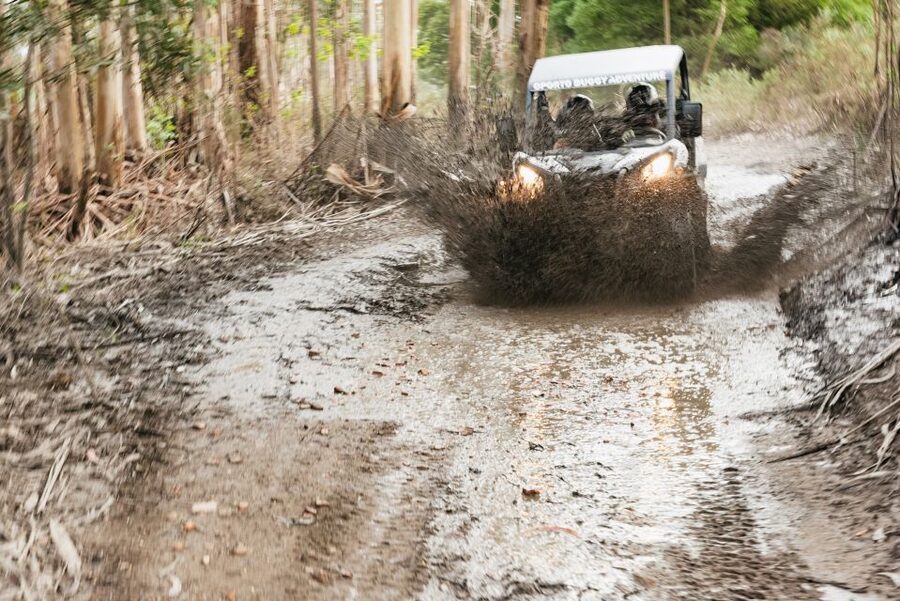 From Porto: Off-Road Buggy Adventure - The first tracks: dust, rocks, and open views