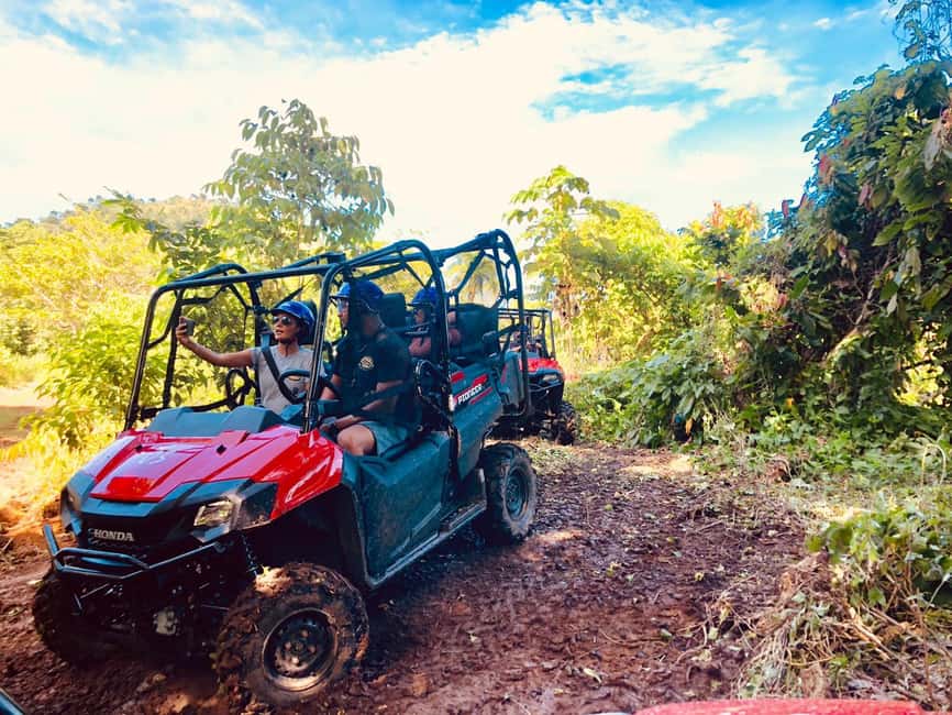 From Punta Cana: Jungle Buggy Adventure to Anamuya River - Jungle trails, scenery, and the question of driving time