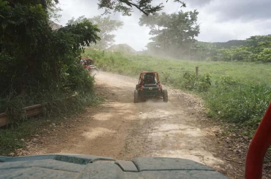 From Punta Cana or La Romana: Sugarcane Fields Buggy or Quad - Slopes, puddles, dust, and the real driving experience