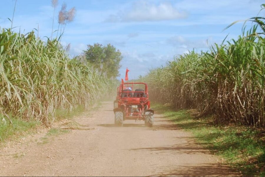 From Punta Cana or La Romana: Sugarcane Fields Buggy or Quad - Transport from Punta Cana, La Romana, and the cruise terminal