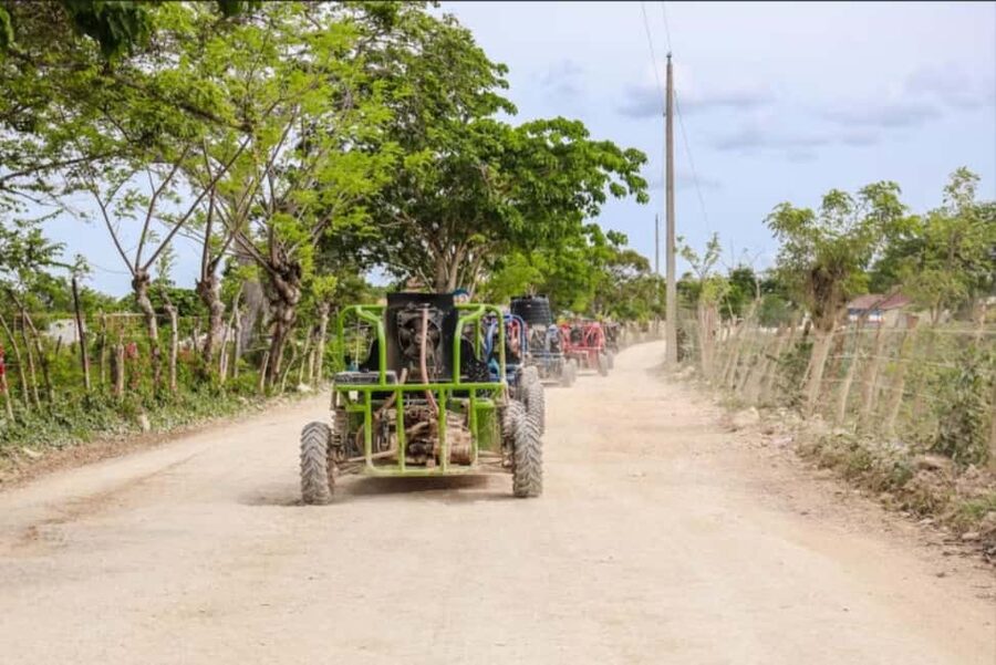 From Punta Cana or La Romana: Sugarcane Fields Buggy or Quad - Sugarcane fields and a closer look at farm life