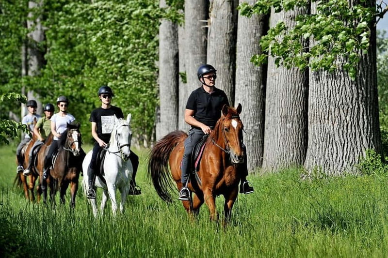 From Split: Full-Day Horse Riding & Quad Biking with Lunch - The final call